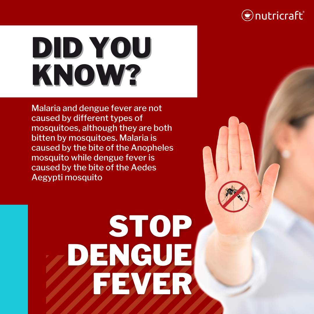 Stop Dengue Fever