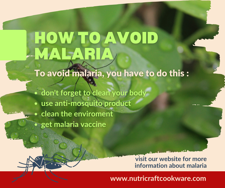 2023 06 08 IMG ways to avoid malaria 1200x1200 png v 1686194794 2023 06 08 img ways to avoid malaria 1200x1200 png v 1686194794